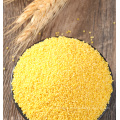 Good Quality Protein-Rich Yellow Millet for Sale